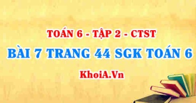 Bài 7 trang 44 SGK Toán 6 Tập 2 Chân trời sáng tạo